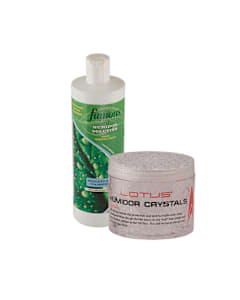 Humidification Jar & Refill