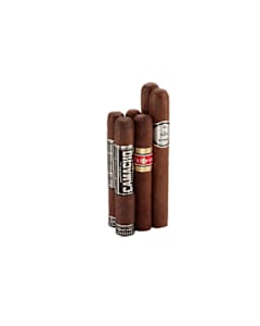 Full Body 6 Pack No. 14
