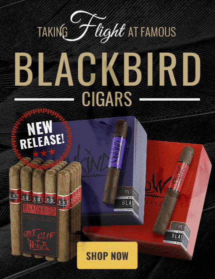 JUST ARRIVED: BLACKBIRD CIGARS HAVE LANDED!