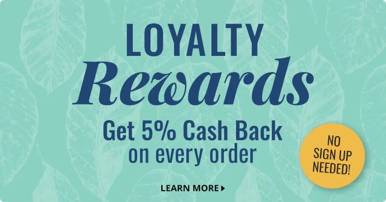 Loyalty rewards get 5% cash back on every order