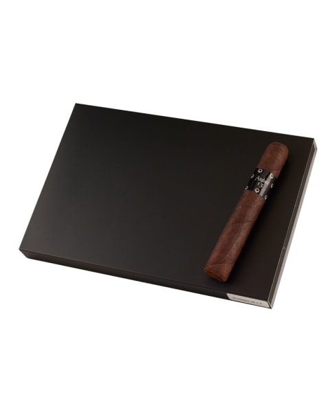 Asylum 13 Sixty 10 Ct Box