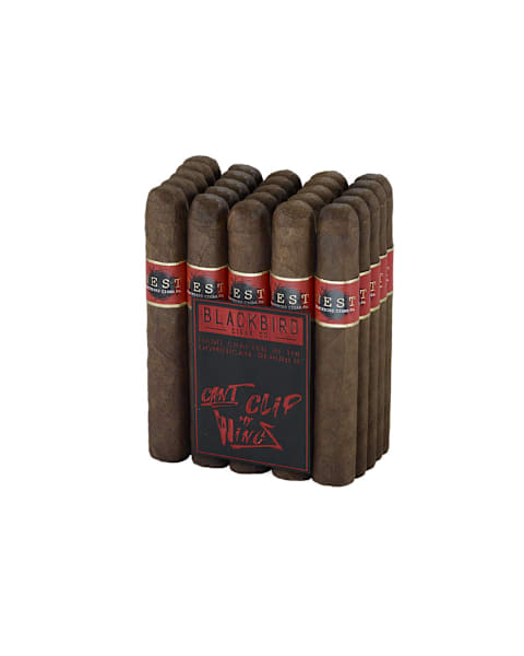 skupics/bbn/CI-BBN-MDGORM-25-BUND