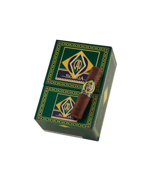 CAO Brazilia Corcovado