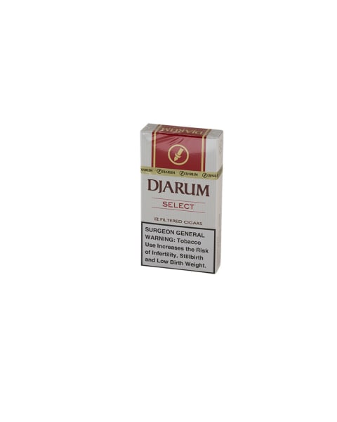 Djarum Select Filter Cigar (12)