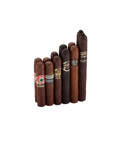 12 Full Bodied Cigars No. 1