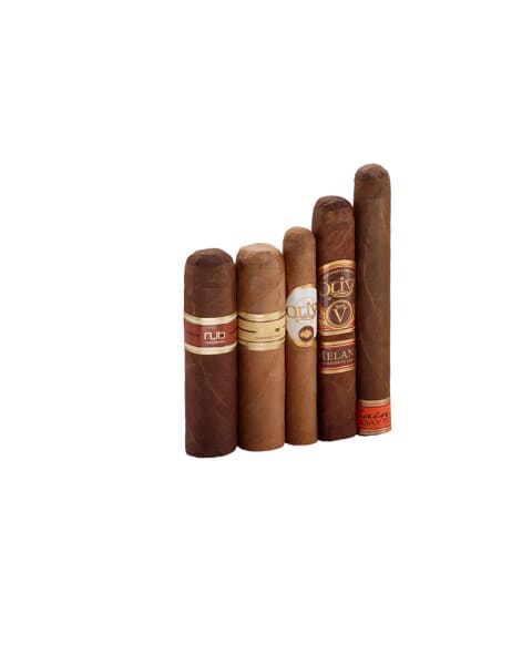 Famous Oliva 5 Cigars #3 Sampler of 5 Cigars