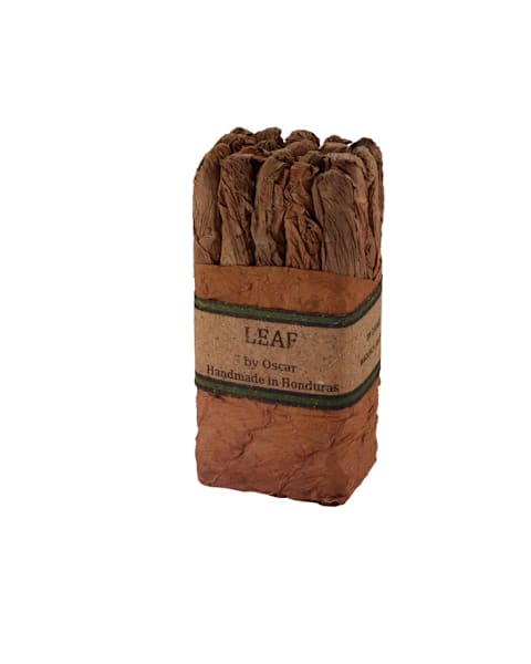 Leaf By Oscar Lancero Maduro