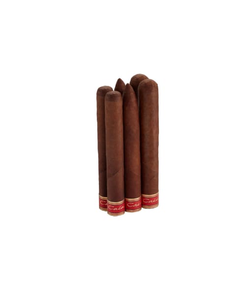 Oliva Cain F Test Flight