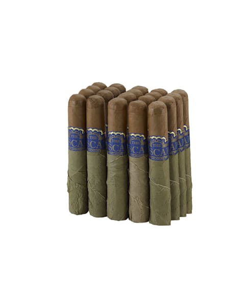 skupics/ovt/CI-OVT-ROBBN