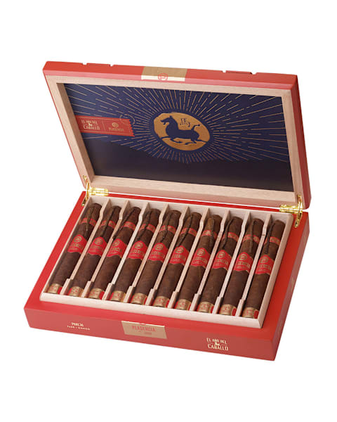 skupics/ple/CI-PLE-HORSE-10-BOX_OPEN