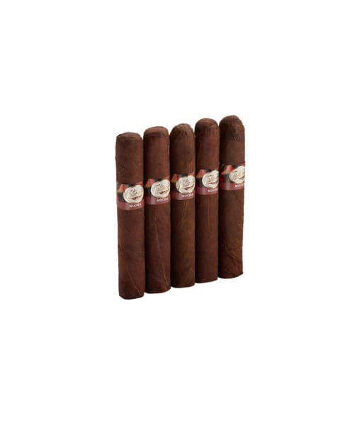 Tatiana Mocha Stobona 5 Pack