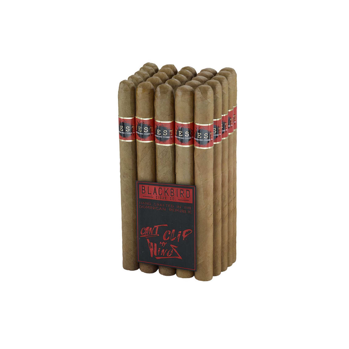 Blackbird Nest Connecticut Presidente