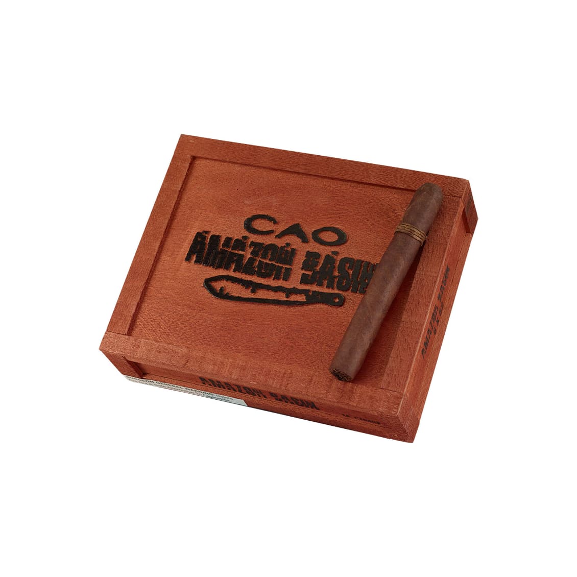 CAO Amazon Basin
