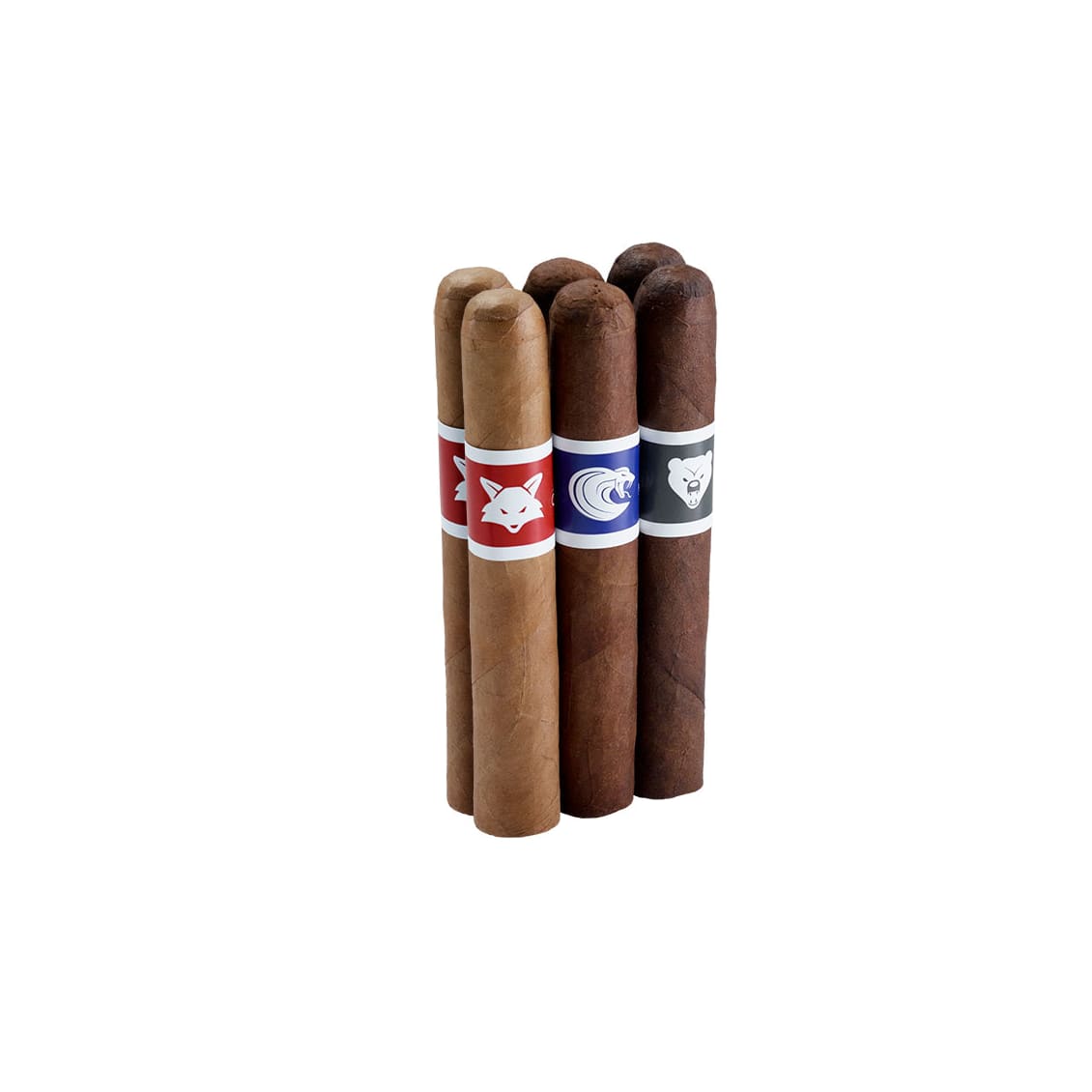 Famous Joya Exclusive Sampler