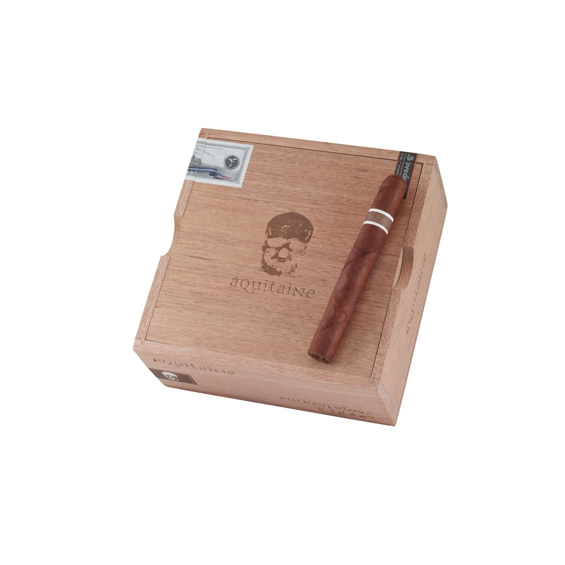 CroMagnon Aquitaine Anthropology
