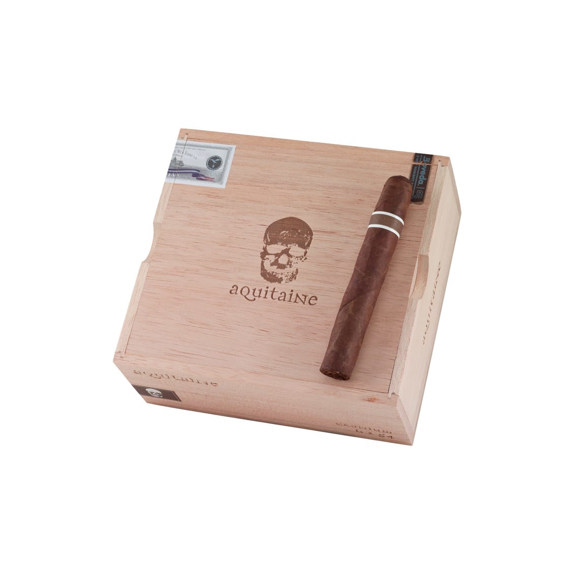 CroMagnon Aquitaine Cranium