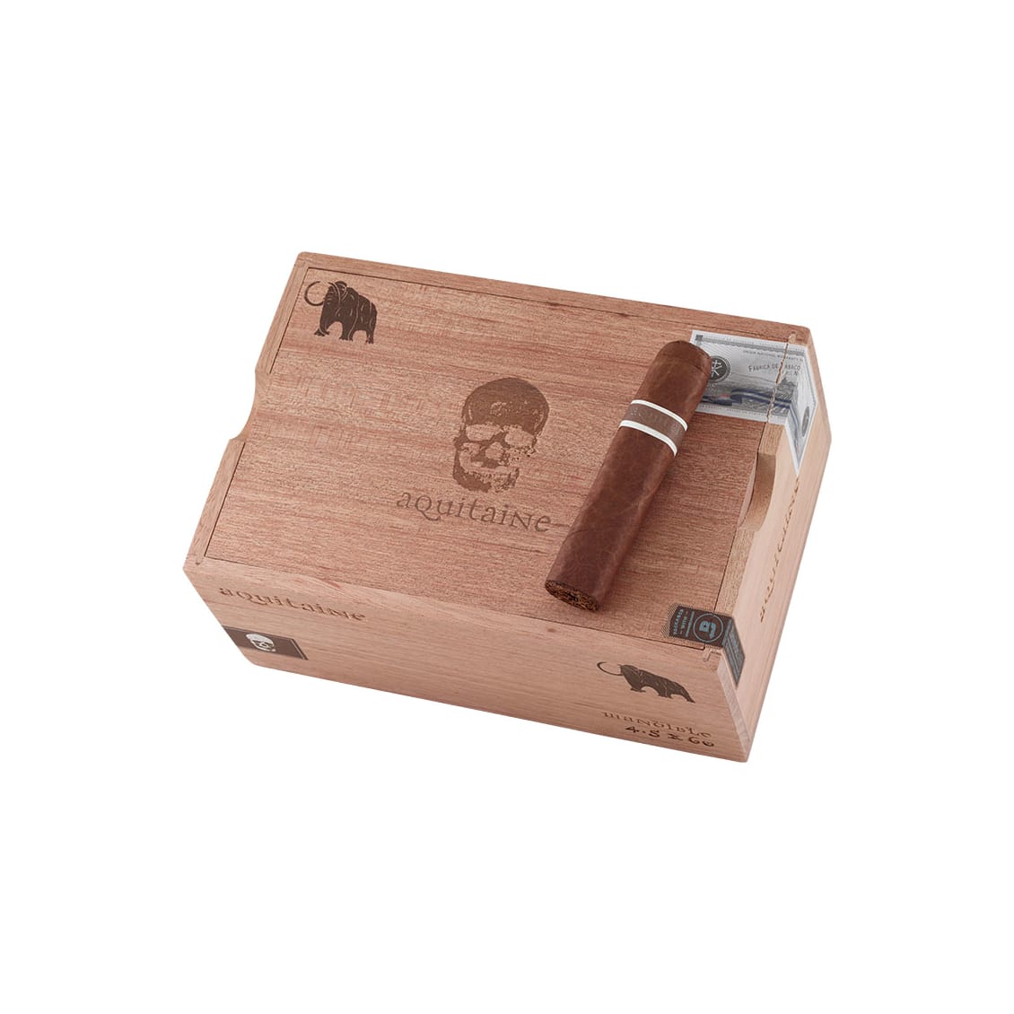 CM Aquitaine Mastodon