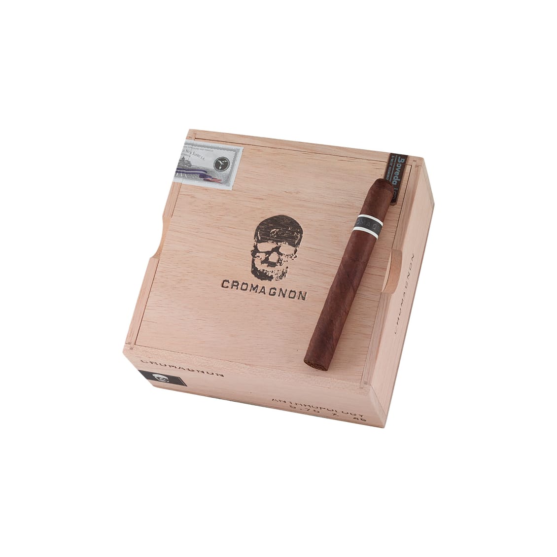 CroMagnon Anthropology