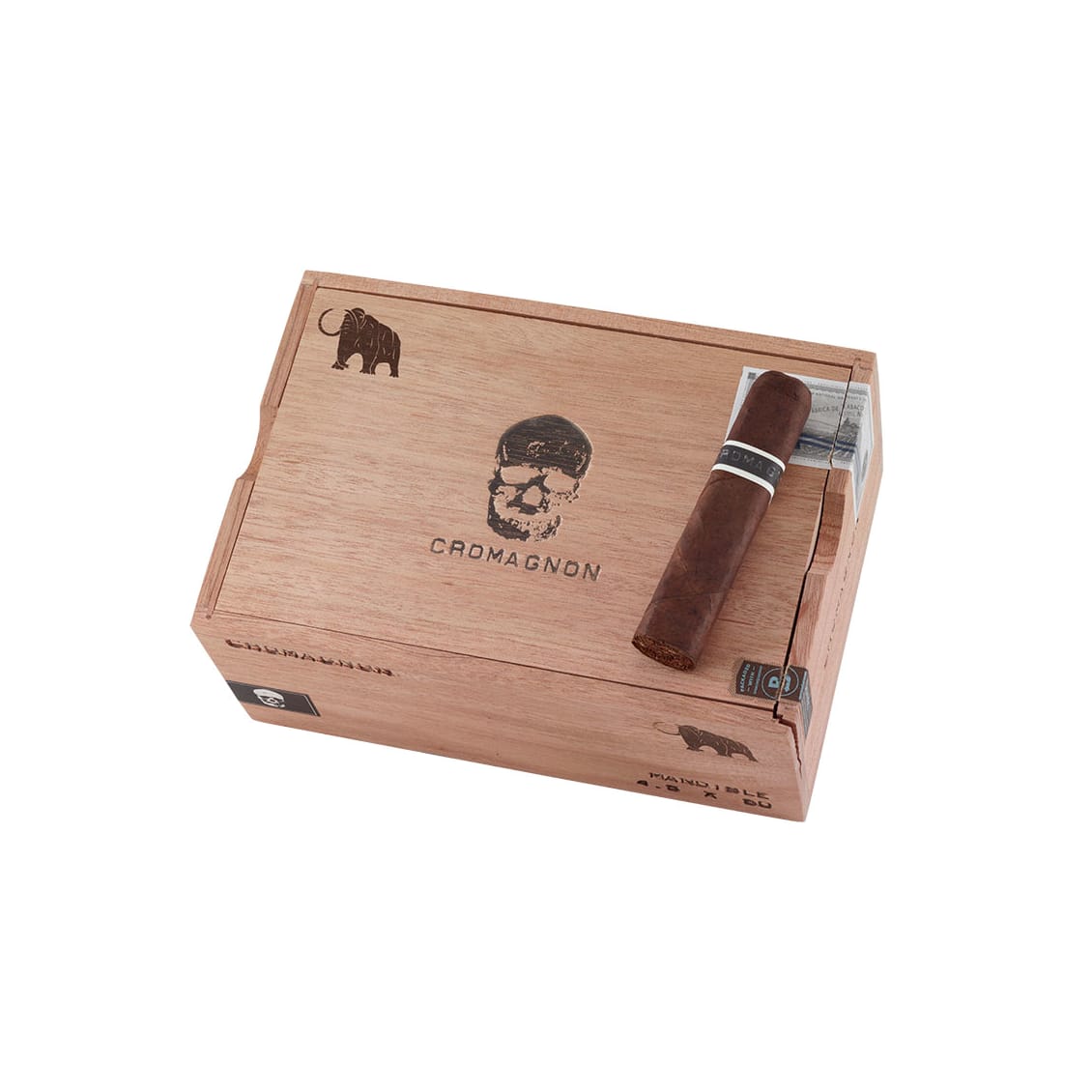 CroMagnon Mandible Mastodon