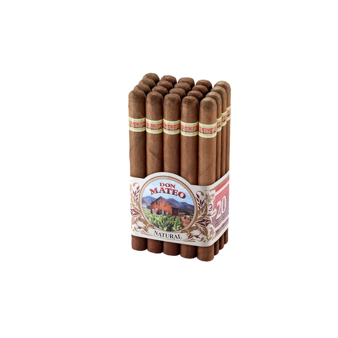 Don Mateo No. 10