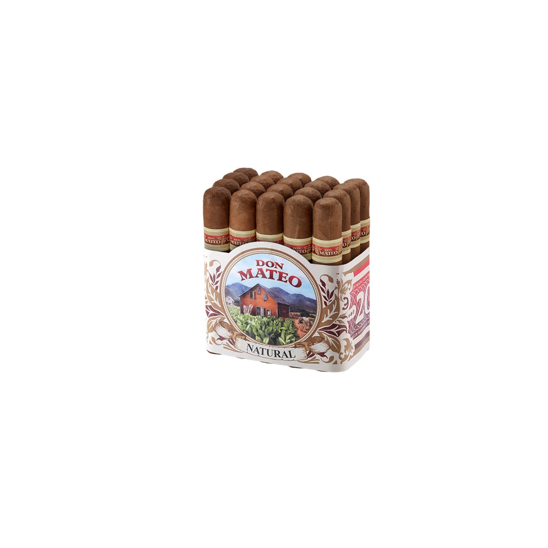 Don Mateo No. 7