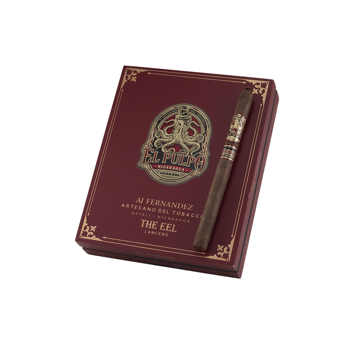 El Pulpo Lancero the Eel