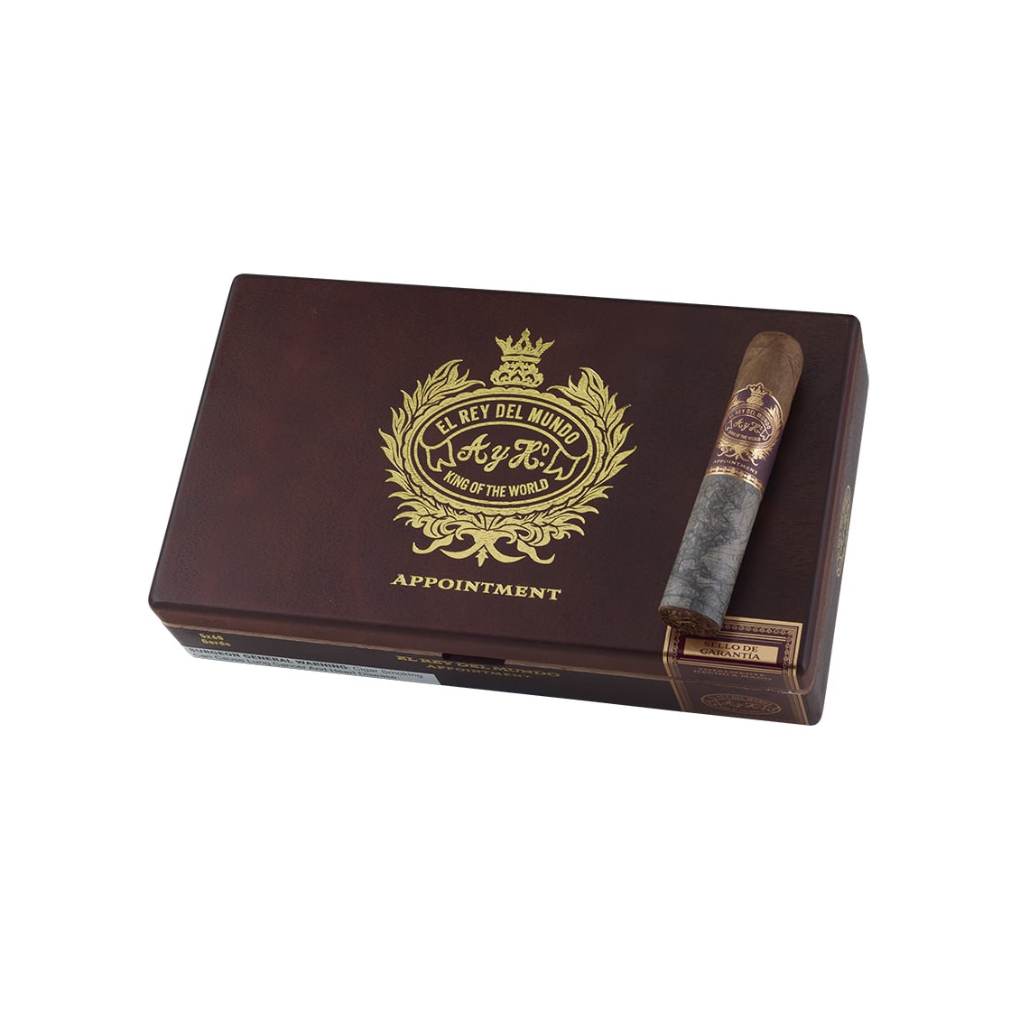 El Rey Del Mundo Appointment Gordo