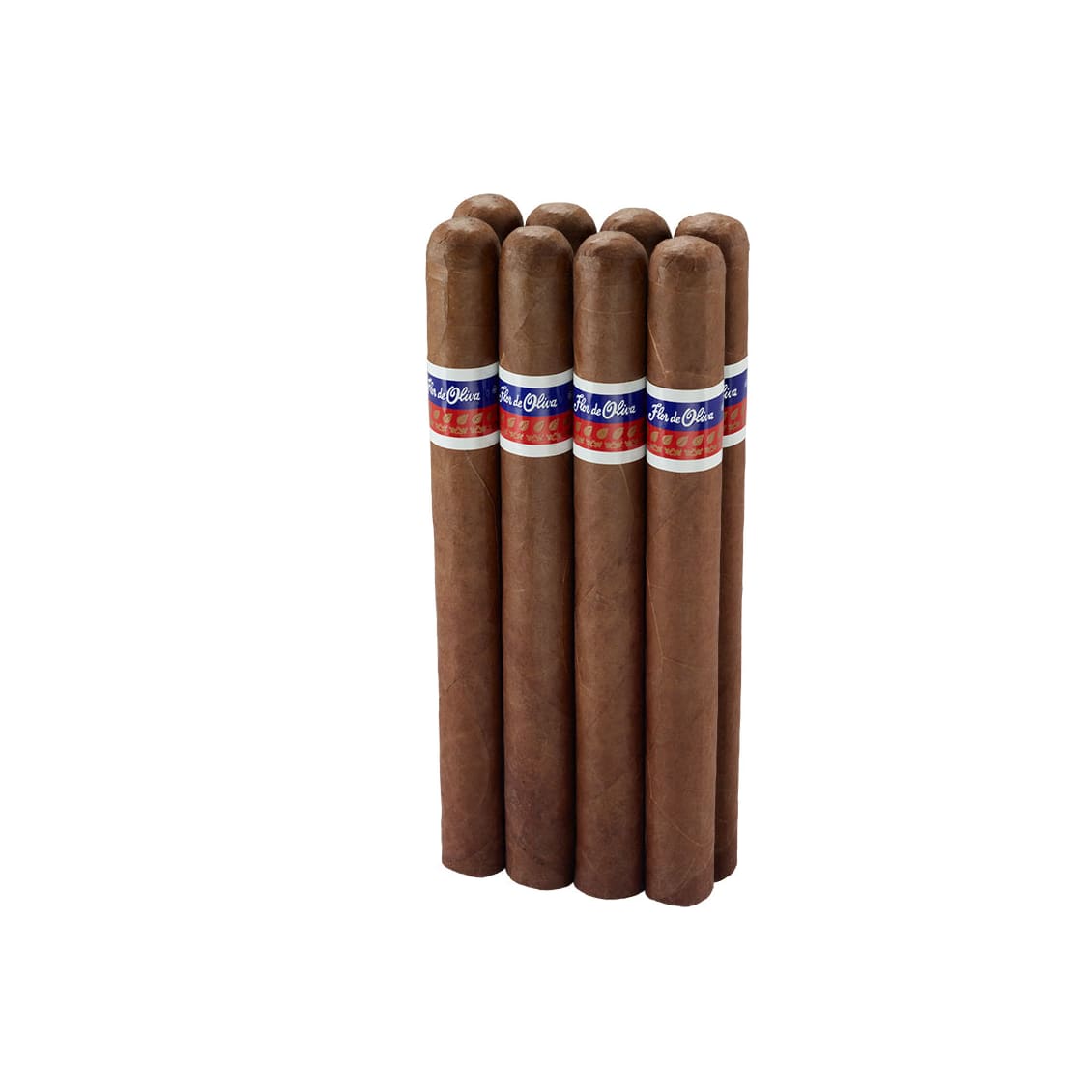 Flor De Oliva Super Giant