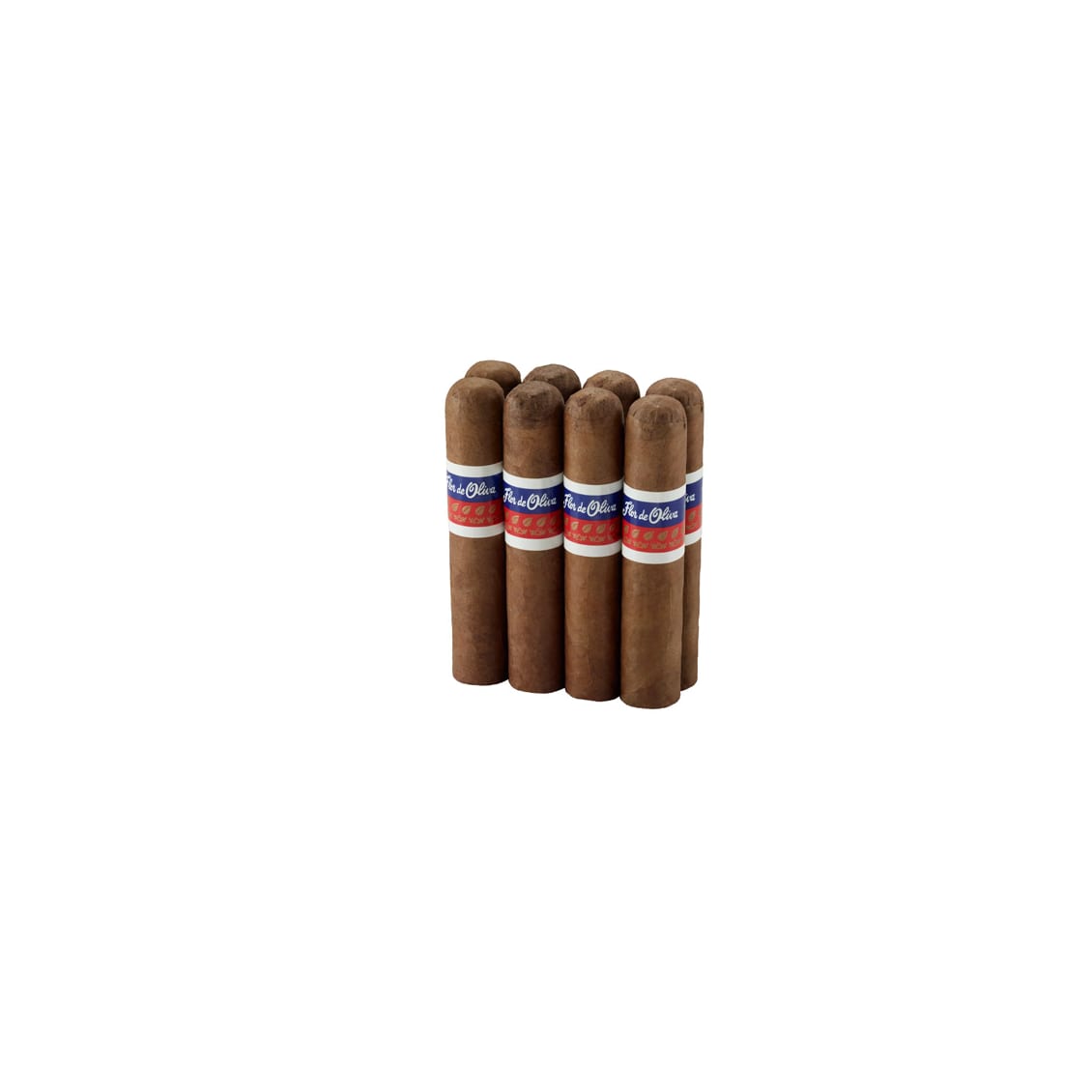 Flor De Oliva Giant Robusto