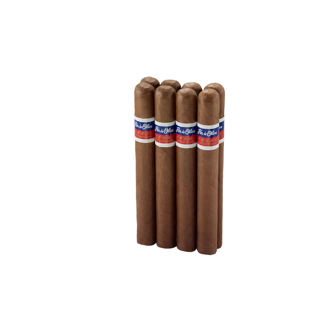 Flor De Oliva Giant Presidente