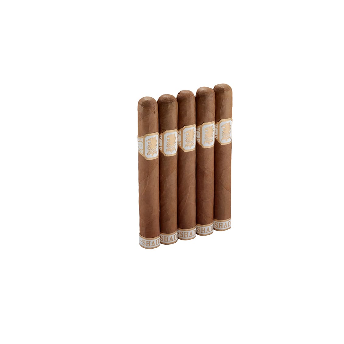 tobacco education videos The Social and Political Issues of Tobacco Use Video