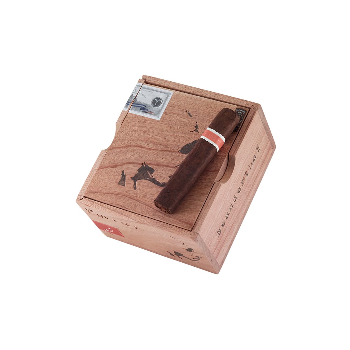 Neanderthal By Roma Craft LH