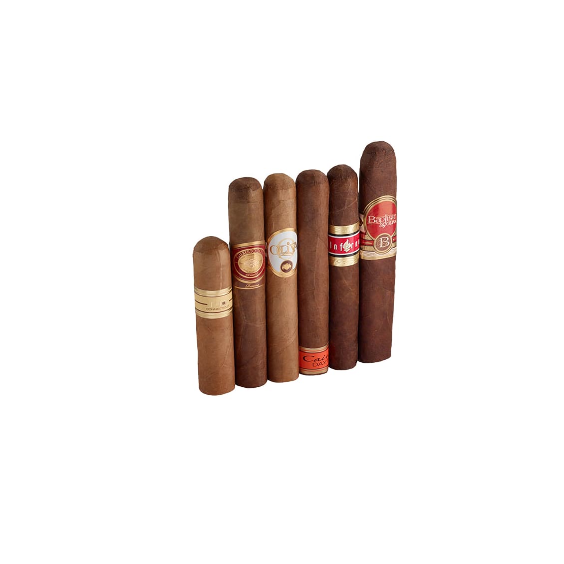 The Evolution Of Oliva Volume 2