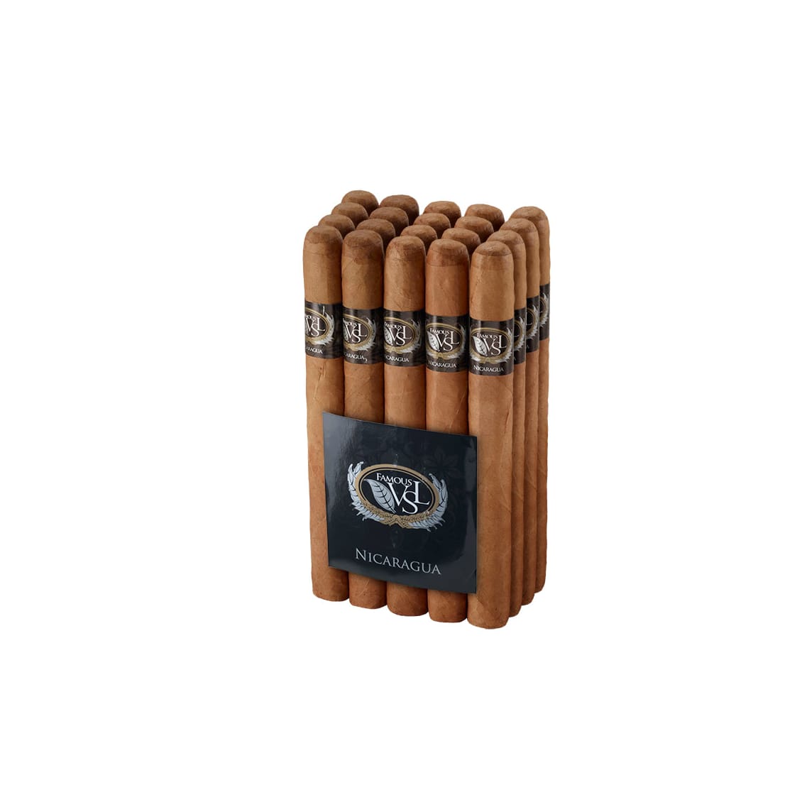 Famous VSL Nicaragua Churchill