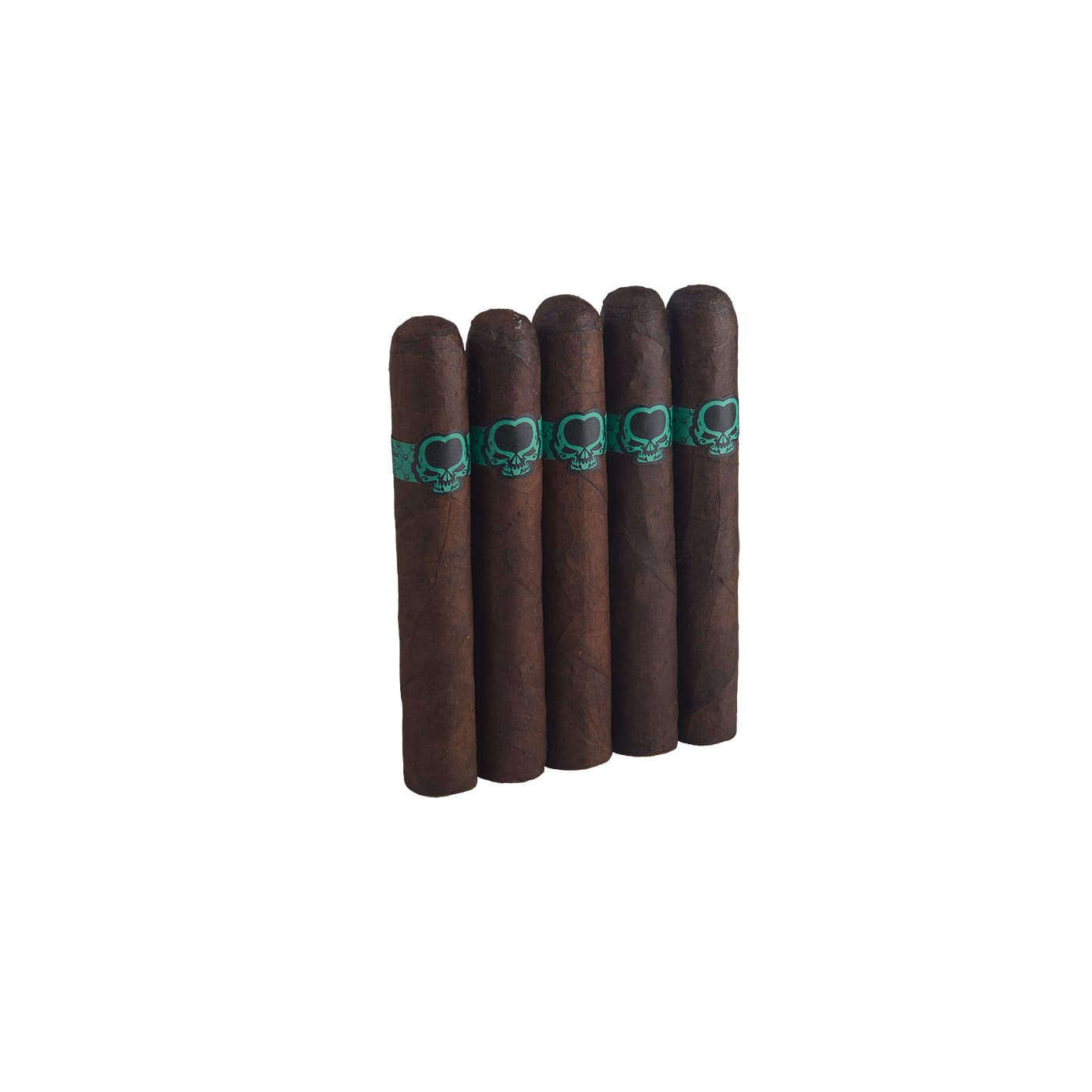 Asylum Cool Brew 60x6