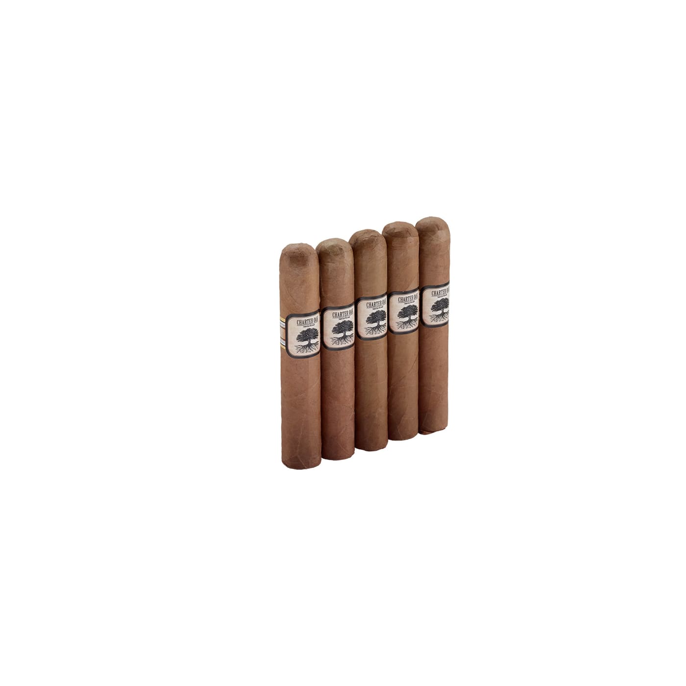Charter Oak Shade Rothschild