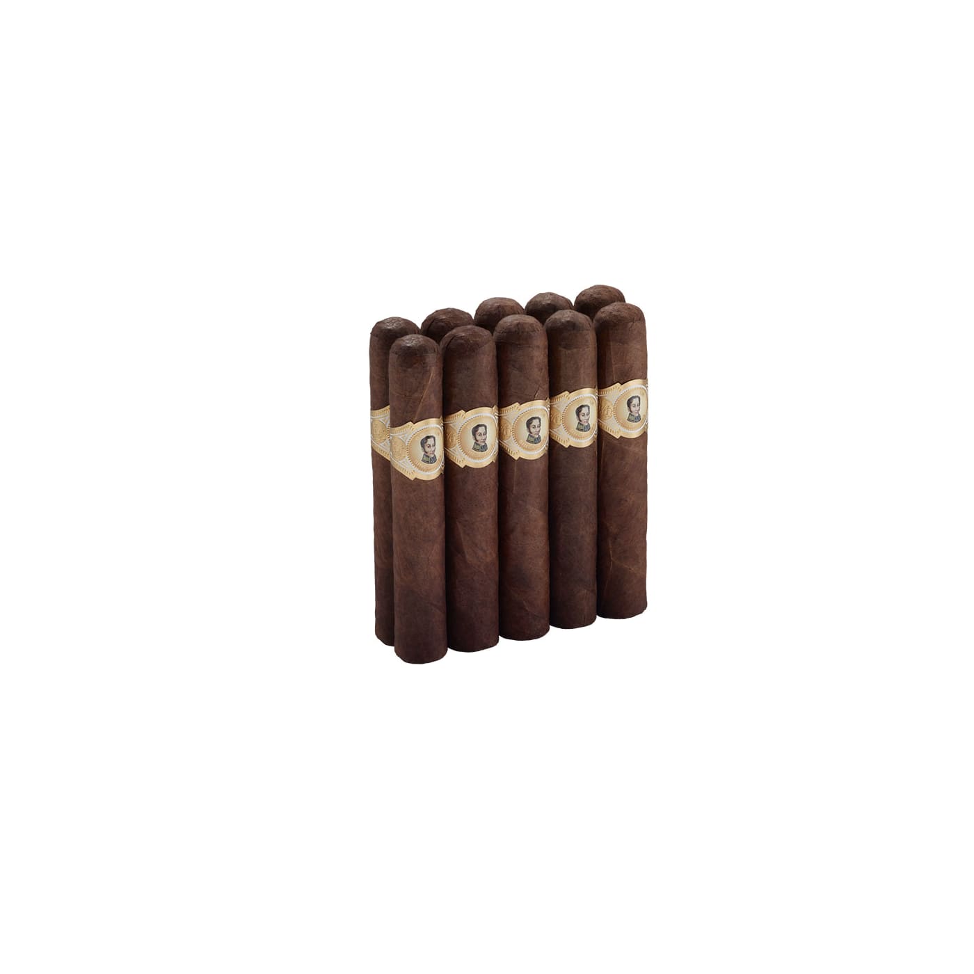 Bolivar Cofradia Robusto