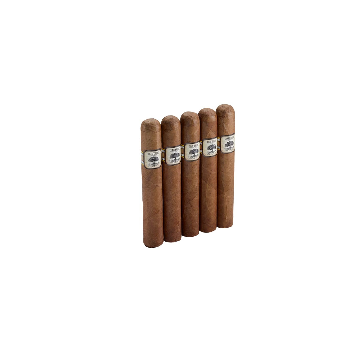 Charter Oak Habano Grande 5 Pack