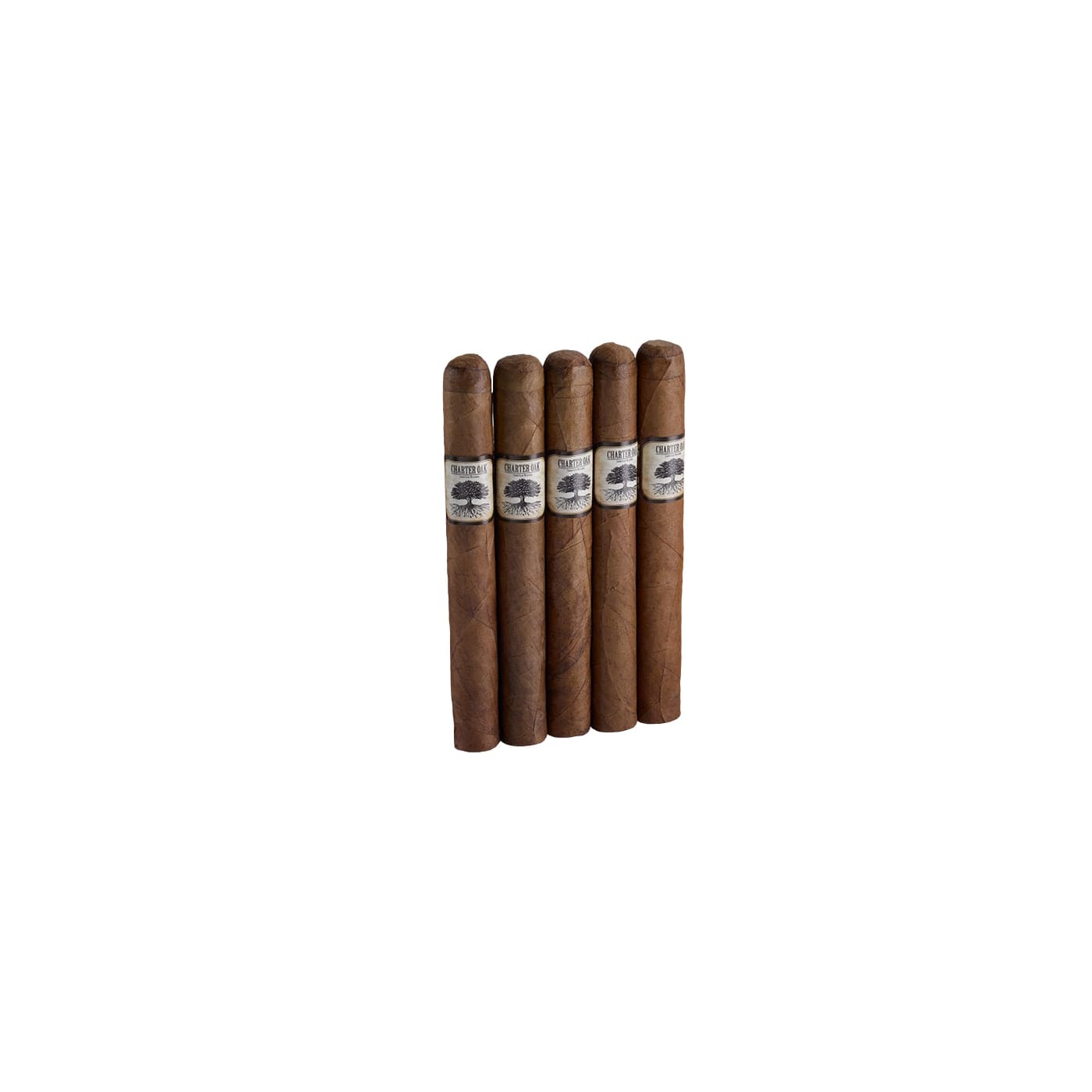 Charter Oak Habano Petit Corona