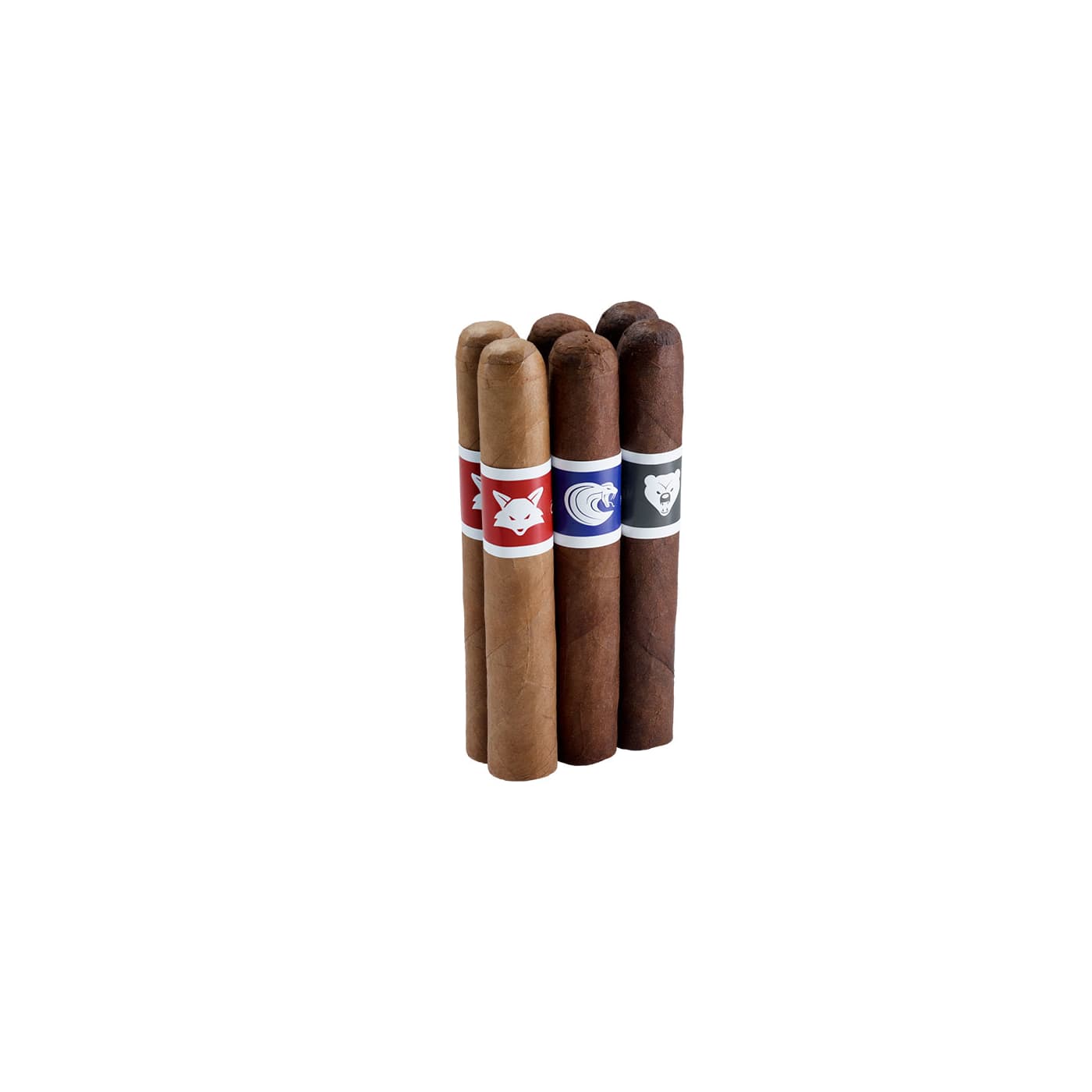 Famous Joya Exclusive Sampler