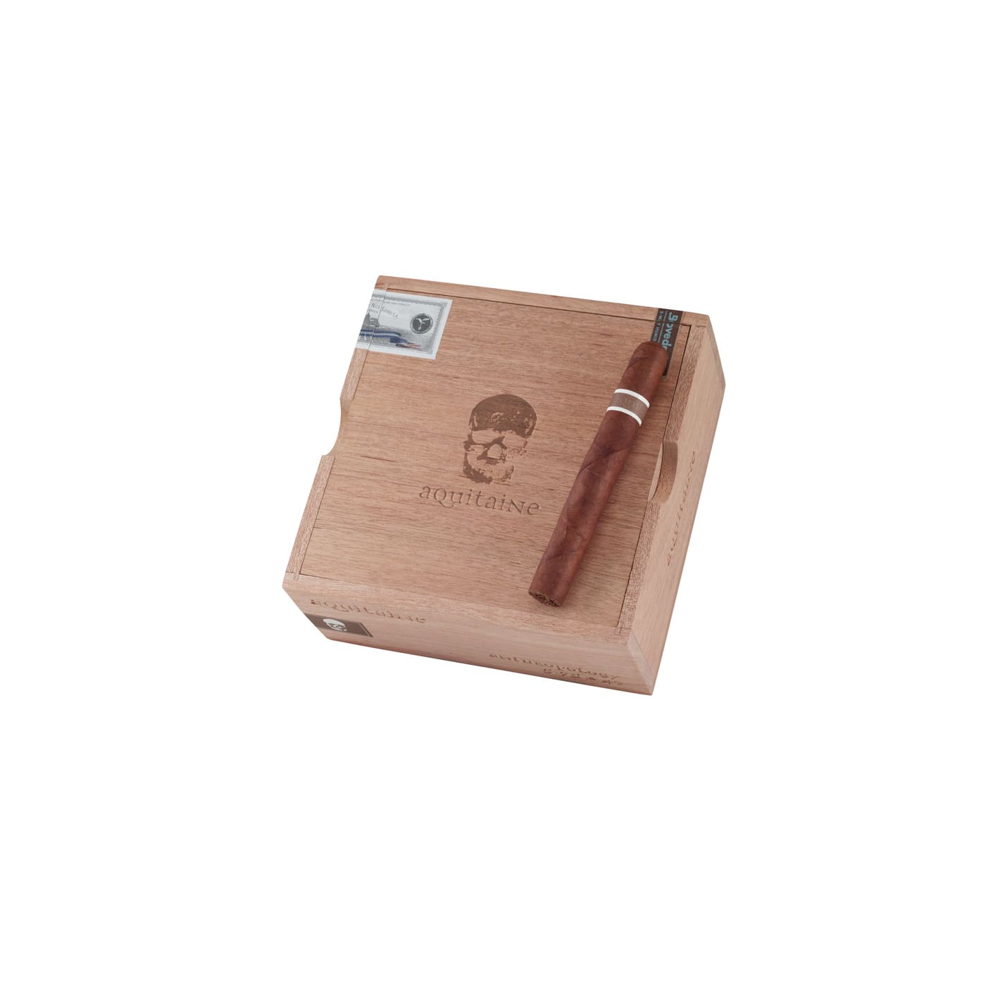 CroMagnon Aquitaine Anthropology