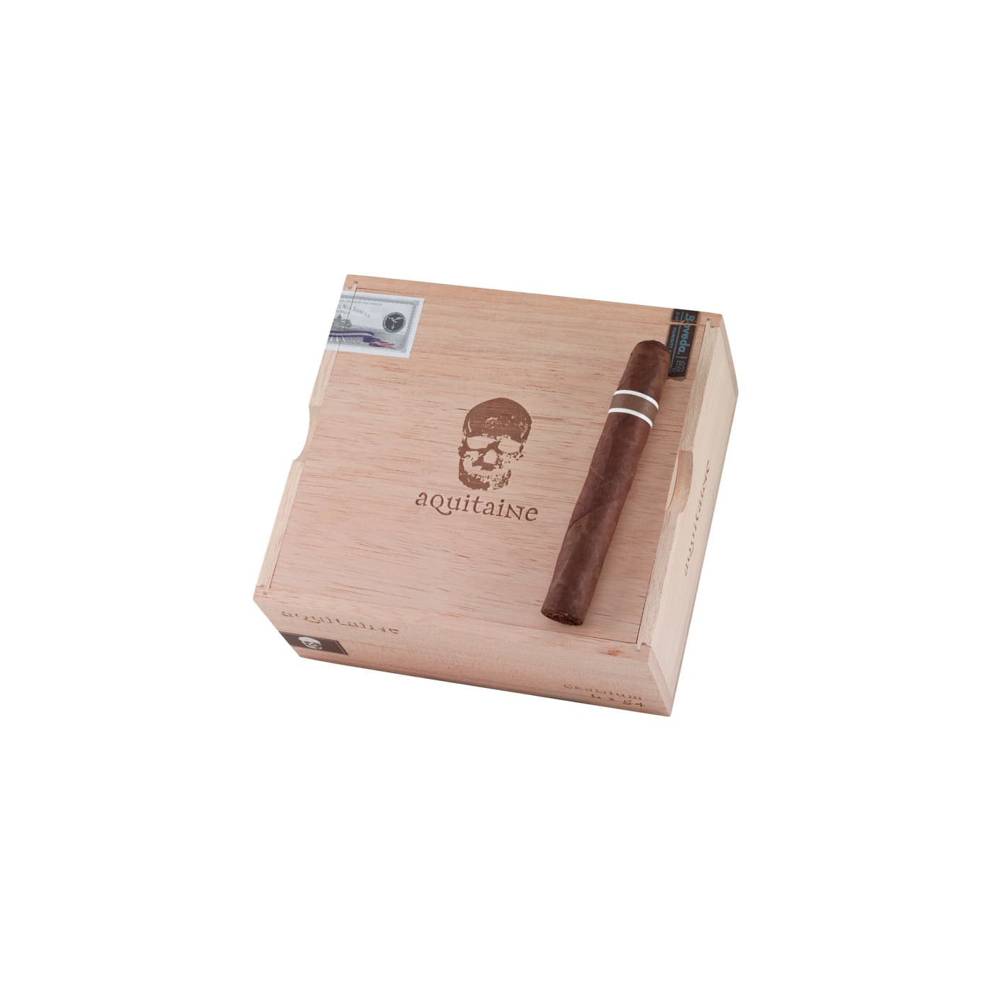 CroMagnon Aquitaine Cranium