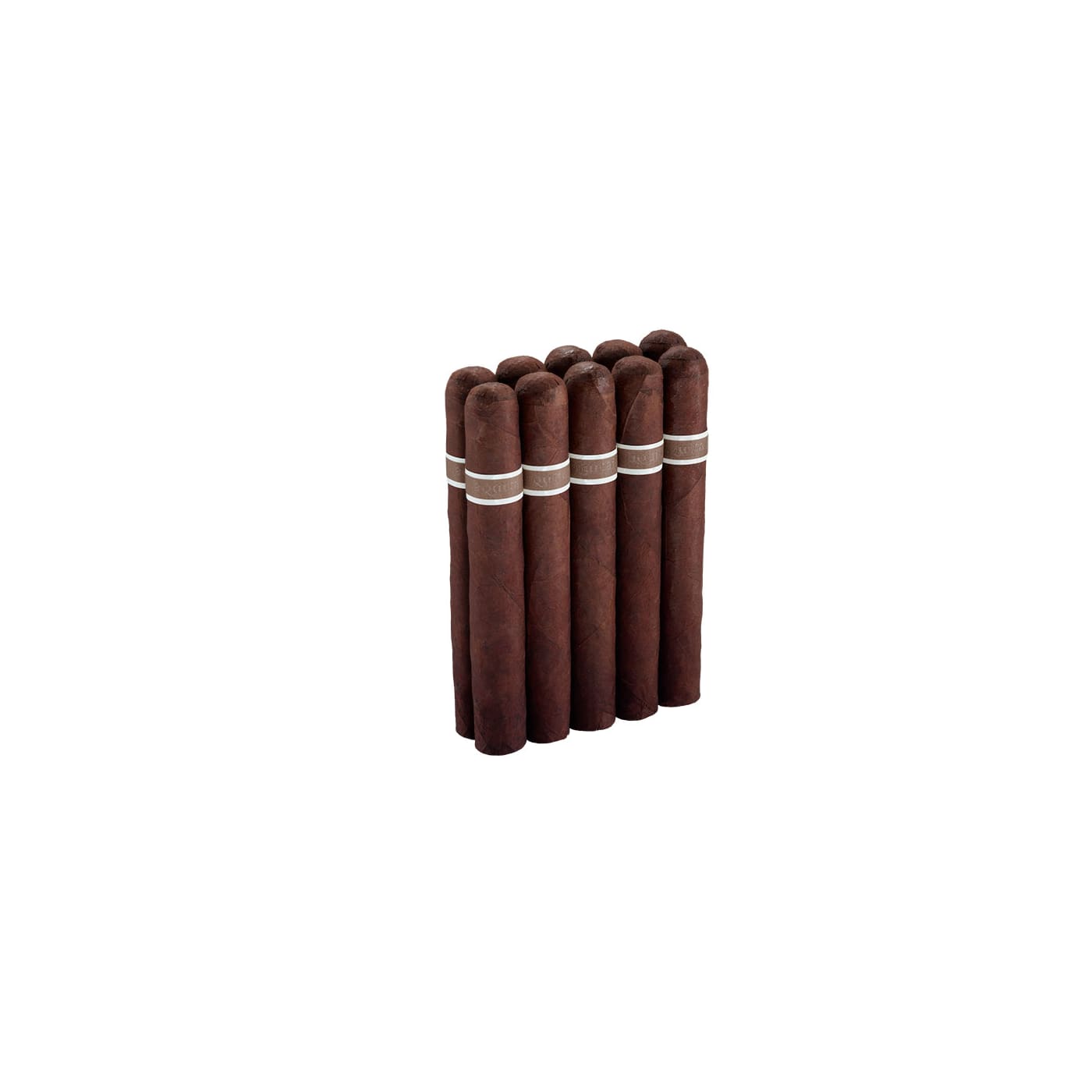 CroMagnon Aquitaine Cranium