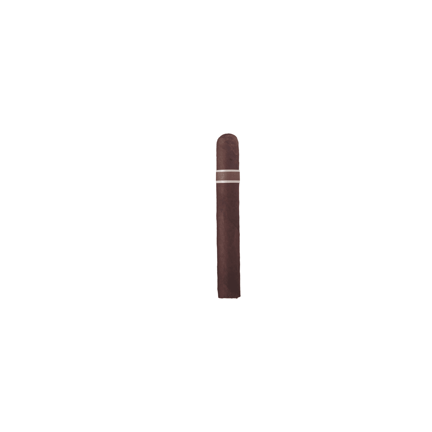 CroMagnon Aquitaine Cranium