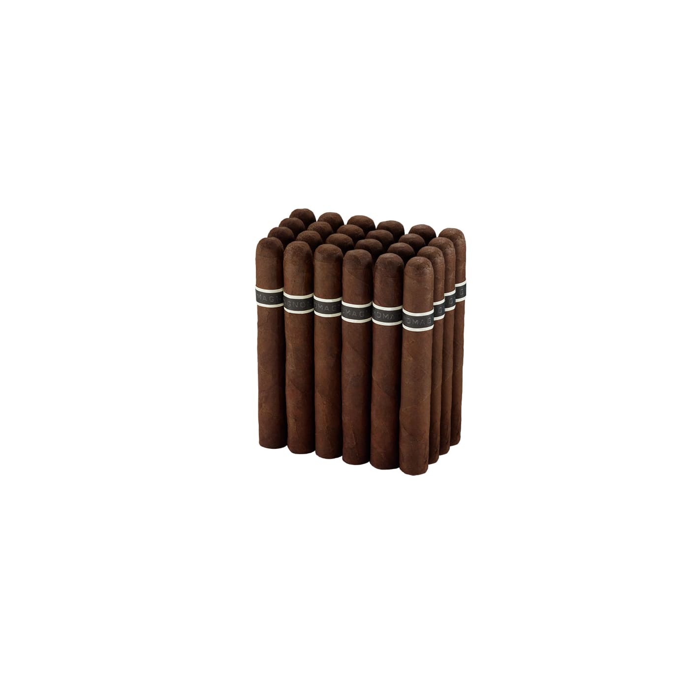 CroMagnon Anthropology