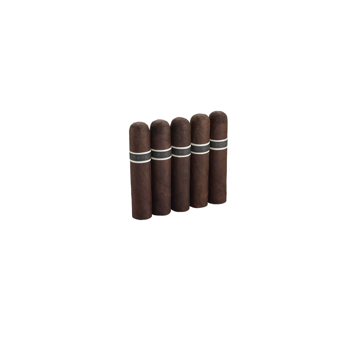 CroMagnon Mandible, 5 Pack