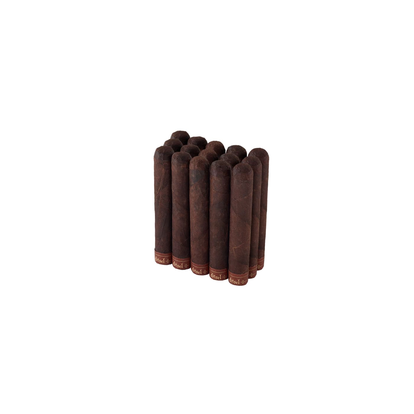 Diesel Robusto 15 Pack