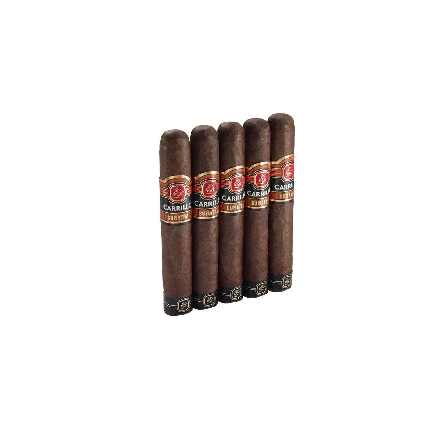 E.P. Carrillo Essence Sumatra Gordo, 5 Pack