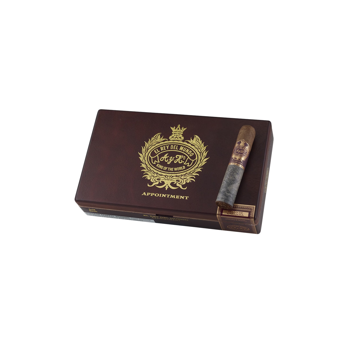 El Rey Del Mundo Appointment Gordo