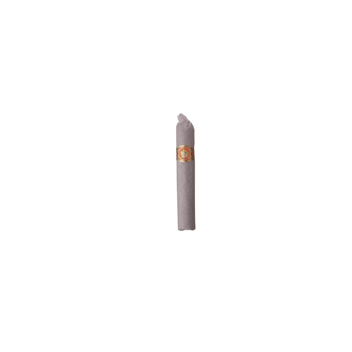 El Rey Del Mundo Robusto